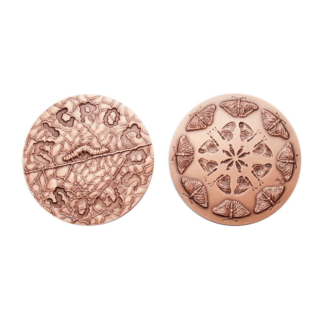 Mikrokosmos I medal